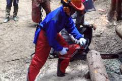 LINE_ALBUM_251008-09津中2年総合_農林業体験_251021_77