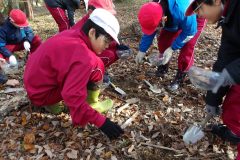 KODAK Digital Still Camera