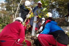 KODAK Digital Still Camera