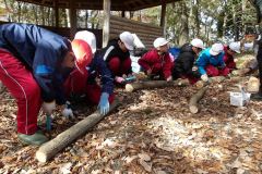 KODAK Digital Still Camera