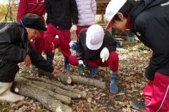 KODAK Digital Still Camera